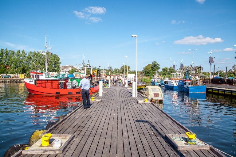 Projekt rozporządzenia w odniesieniu do kontroli rybołówstwa